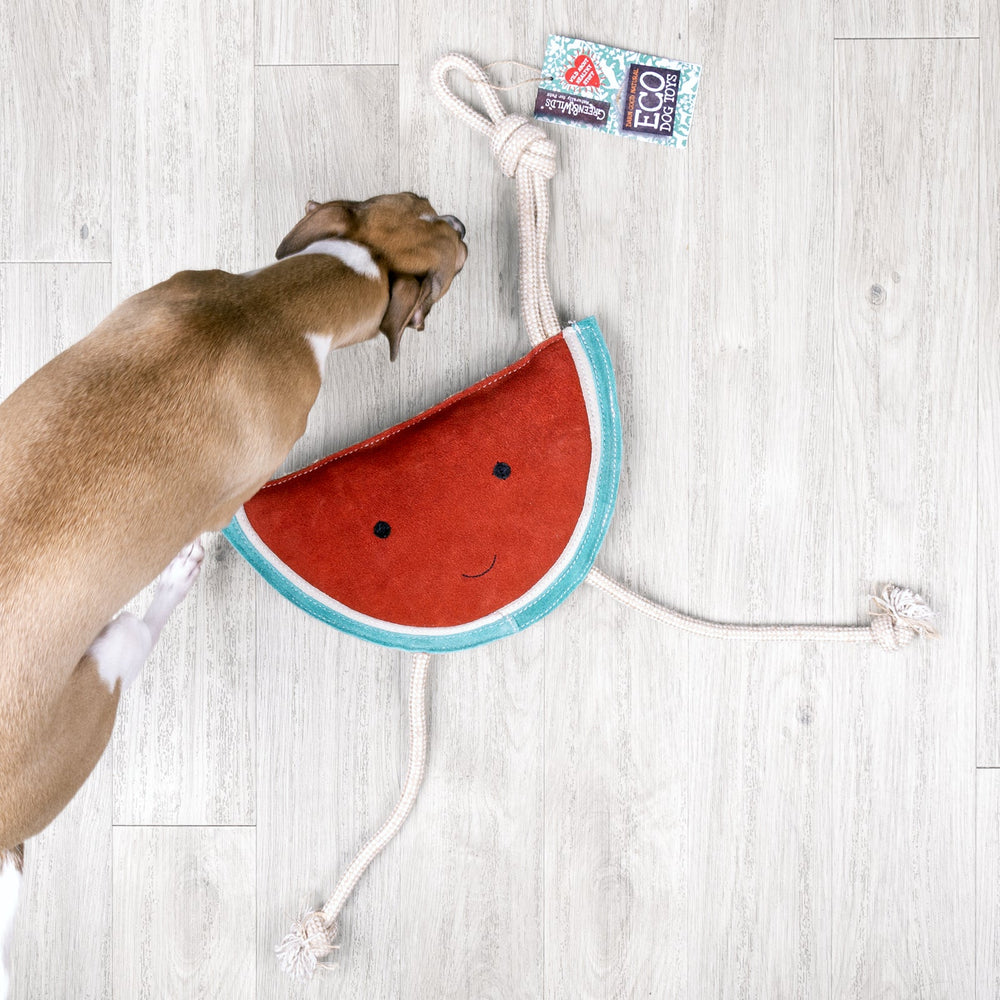 Dog playing with eco-friendly dog toy made from suede, shaped like a watermelon slice, with rope arms and legs, on a wooden floor