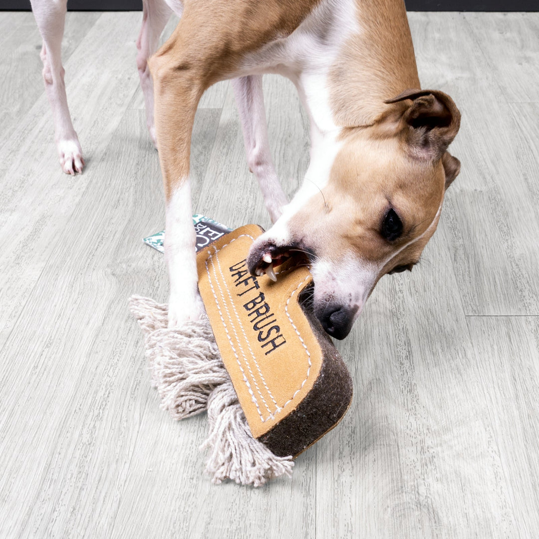 An Italian Greyhound Dog playing with an eco-friendly dog toy in the shape of a cleaning brush in a tan coloured suede with grey string on a pale oak floor.