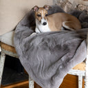 Italian Greyhound dog lying on a soft, luxurious and cosy faux-fur dog blanket in a grey taupe colour draped over a chair with a beige cushion and stone wall in the background 