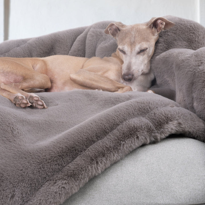 Faux-Fur Dog Blanket in Grey Taupe