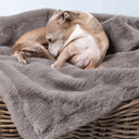 Faux-Fur Dog Blanket in Grey Taupe
