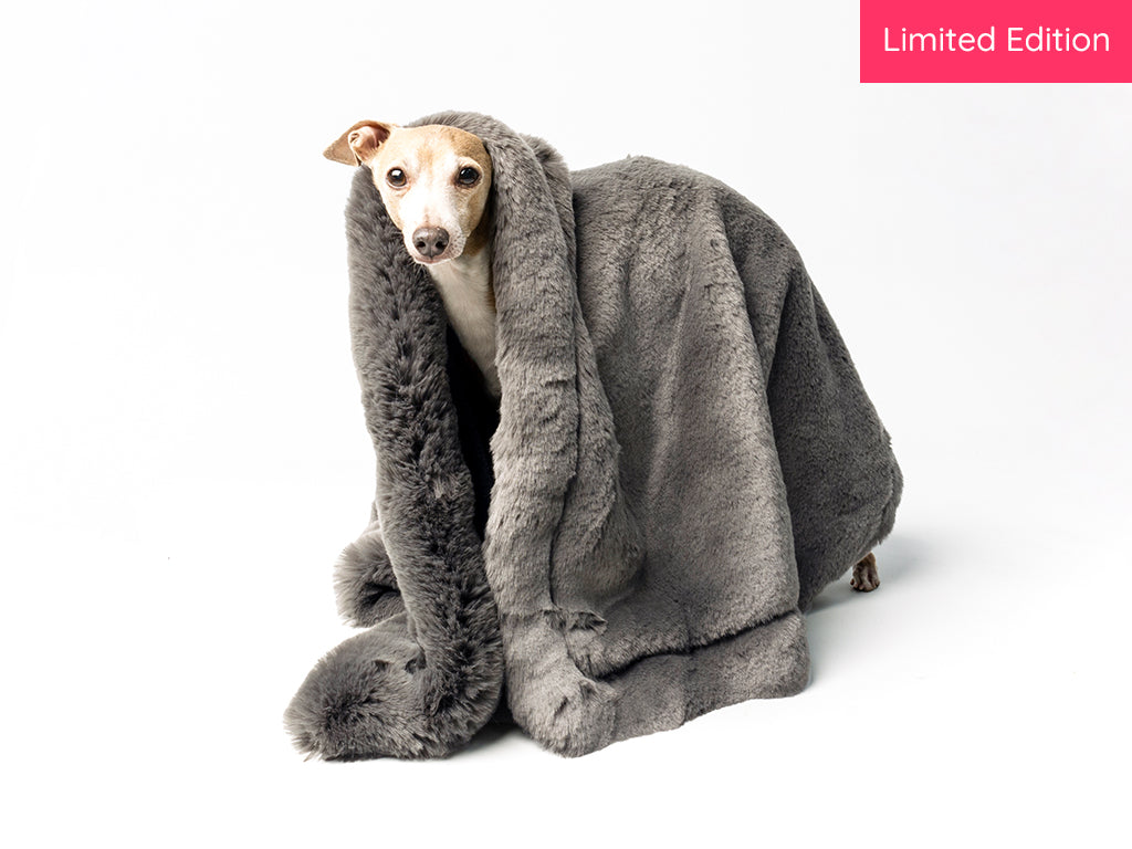 FauxFur Dog Blankets — Charley Chau luxury dog bedding