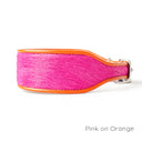 Holly&Lil Brightside Sighthound Dog Collar