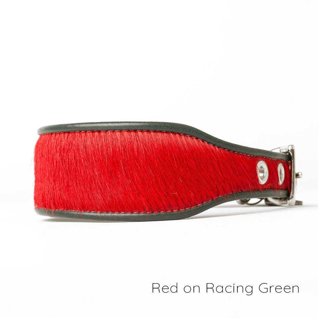 Holly&Lil Brightside Sighthound Dog Collar