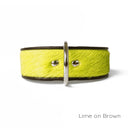 Holly&Lil Brightside Classic Wide Dog Collar