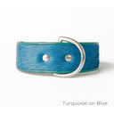 Holly&Lil Brightside Classic Wide Dog Collar