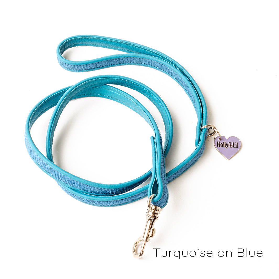 Holly&Lil Brightside Dog Lead