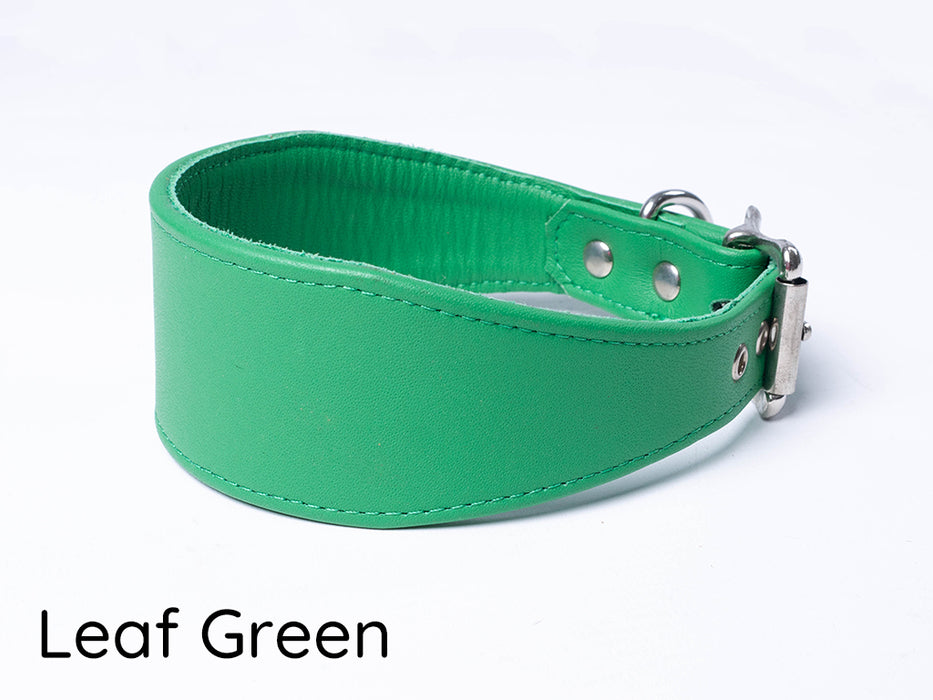Leather Whippet Collars - Sample Sale