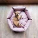 Dog lying comfotable and cool on a pink luxurious donut dog bed on a wooden floor.