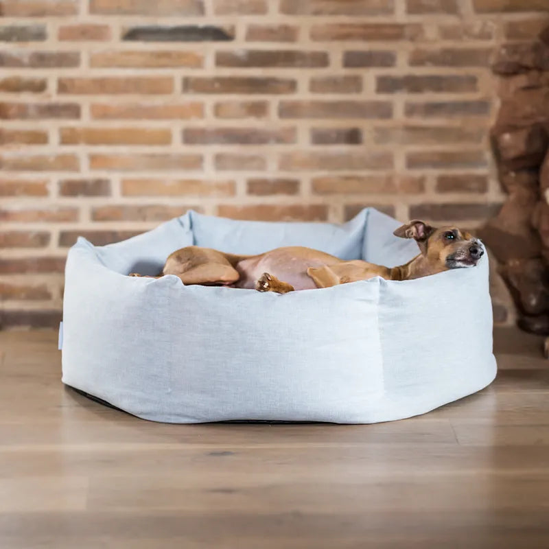 A dog keeping cool on a hot day lying in a pale blue/grey donut dog bed in a modern home setting with a brick wall and wooden floor.