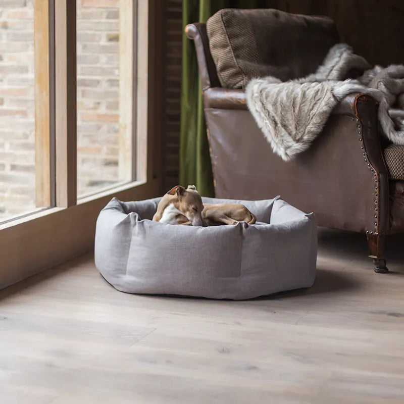 A dog lying in a beige conut dog bed on a hot day looking cool and comfortable in a living room with a brown armchair and large windows.