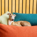 Luxury Memory Foam Dog Bolster Bed by Charley Chau in Sienna