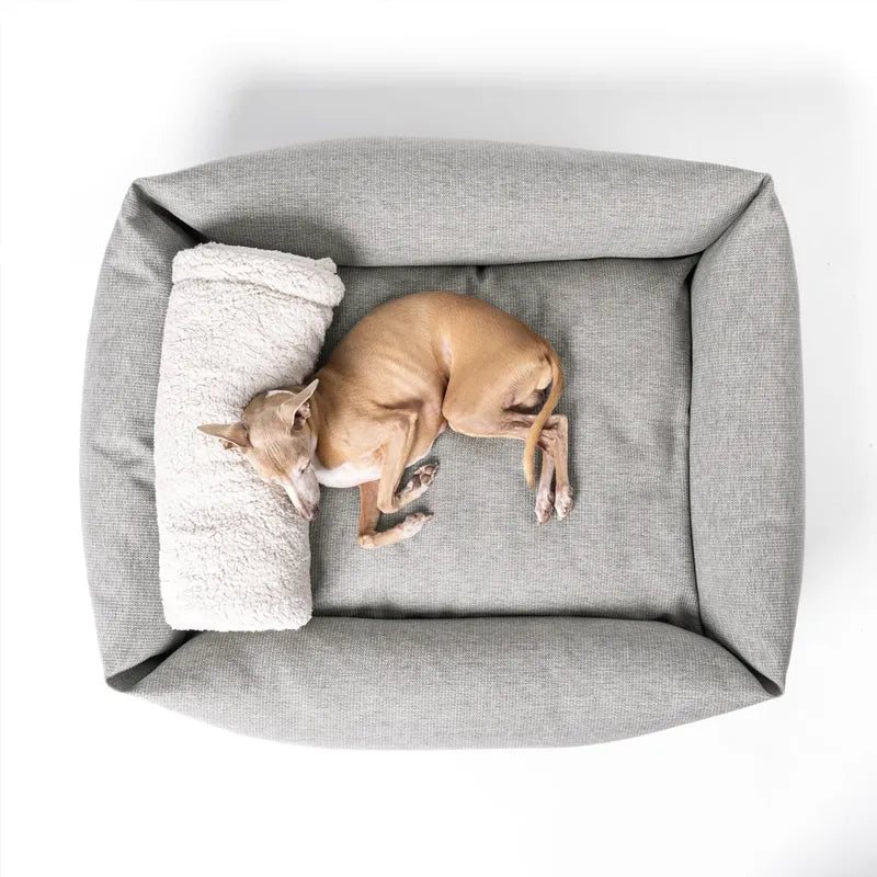 Dog lying on a gray box style bolster dog bed with a pale grey fleece blanket as a cushion on a white backdrop.