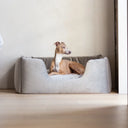 Dog sitting in a gray velvet luxury dog bed with high sides by designers Charley Chau in a minimalistic room with a woden floor.