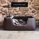 A dog lying in a igh side box style luxury dog bed in dark brown in a home setting with a featured in the press badge 'Country Life' above.