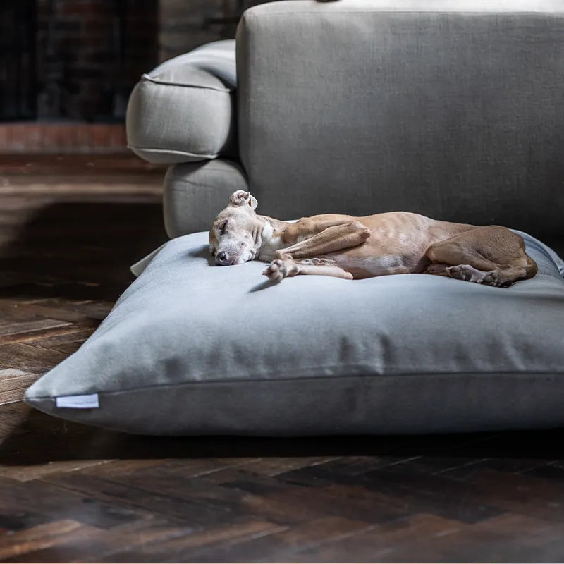 Dog lying on a large pale gray dog bed mattress in a cozy living room. with a wooden floor.