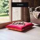 Dog lying on a luxury dog bed mattress in red and orange velvet in a home setting with large windows and wooden floor, with a media feature badge "Forbes" on it.