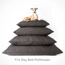 An Italian Greyhound dog lying on top of a stack of three deep-filled luxury dog bed mattresses in a dark brown on a white backdrop with text "Fits Day Bed Mattresses".