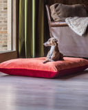 <em>Dog Bed Mattresses</em>