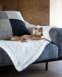 <em>Luxe Dog Blankets</em>