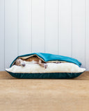 <em>Snuggle Beds & Cave Beds</em>