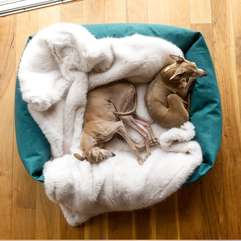 Two dogs sleeping on a cream, fluffy faux-fur dog blanket in a jade green dog bed on a wooden floor.