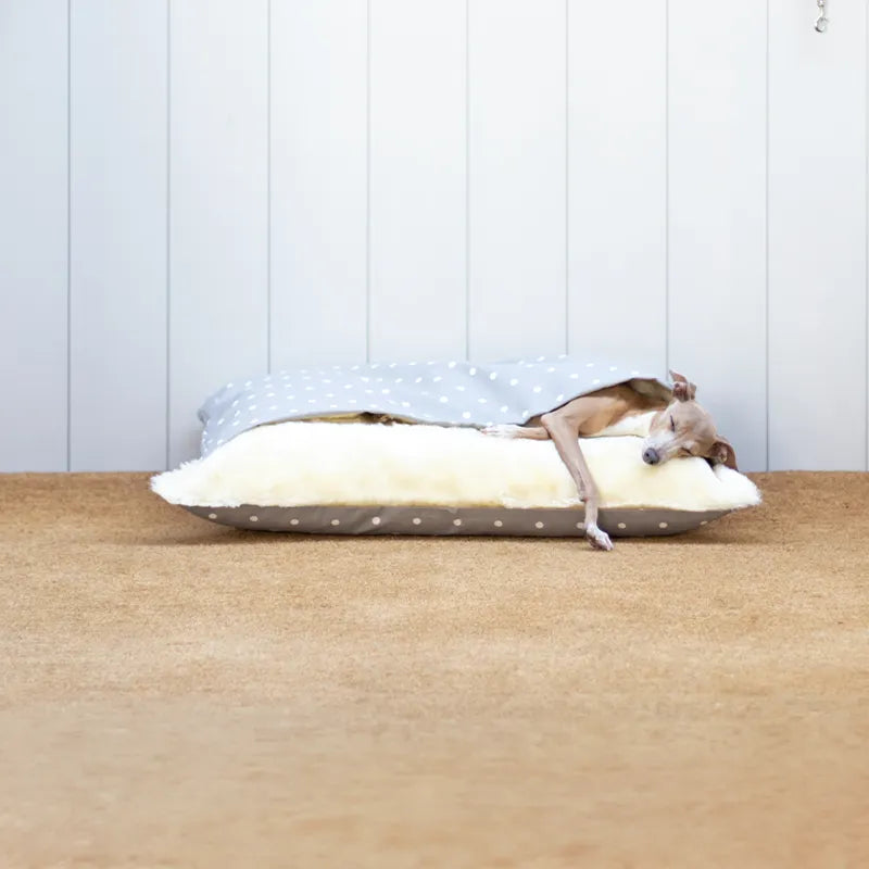 Dog lying inside a sleeping bag style dog snuggle bed in grey polka dot cotton by designers Charley Chau, looking cool and cosy against a white paneled wall.