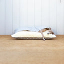 Dog lying inside a sleeping bag style dog snuggle bed in grey polka dot cotton by designers Charley Chau, looking cool and cosy against a white paneled wall.
