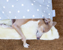 A dog sleeping cool and comfortable in a luxury dog burrow bed in a grey polka dot cotton fabric with cream plush lining, perfect for summer dog bedding.