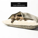 Two dogs sleeping inside a luxury dog snuggle bed in grey velvet with plush ream lining o a white backdrop with a press feature badge fpr 'ITV - This Morning' above.