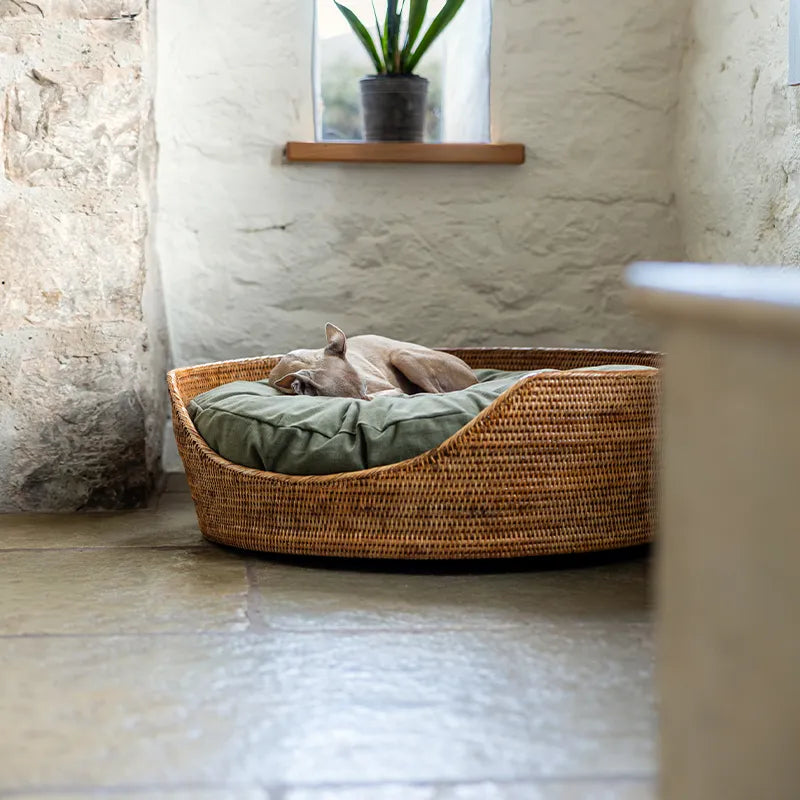 Dog sleeping in a natural rattan pet basket with a green luxury dog bed mattress in a home setting with whitewashed walls and a stone floor.