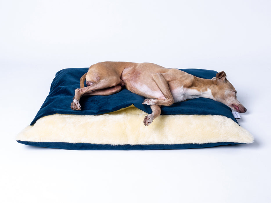 Snuggle Sack / Burrow Bag for Dogs - designer luxury dog bed by Charley Chau in Velour