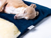 Snuggle Sack / Burrow Bag for Dogs - designer luxury dog bed by Charley Chau in Velour