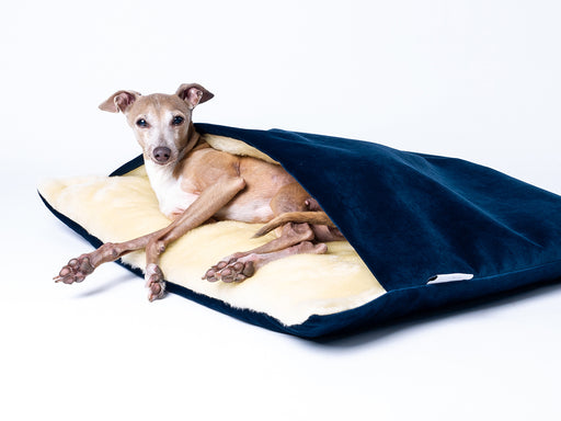 Snuggle Sack / Burrow Bag for Dogs - designer luxury dog bed by Charley Chau in Velour