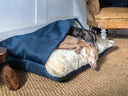 Two dogs sleeping very cosy and clean in a machine washable luxury dog snuggle bed by Charley Chau in dark blue velvet with a plush cream lining.