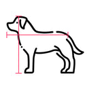 illustration showing how to measure a dog for a dog bed