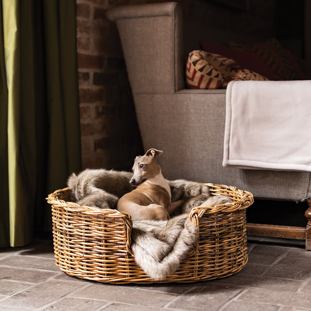 Large dog basket online