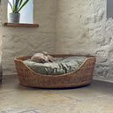 Dog lying in a luxury rattan pet basket with a fern green cushion against a wite stone wall.