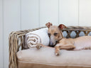 Dog lying on a rattan dog bed with luxury mattress, resting its head on a rolled up fleece dog blanket.