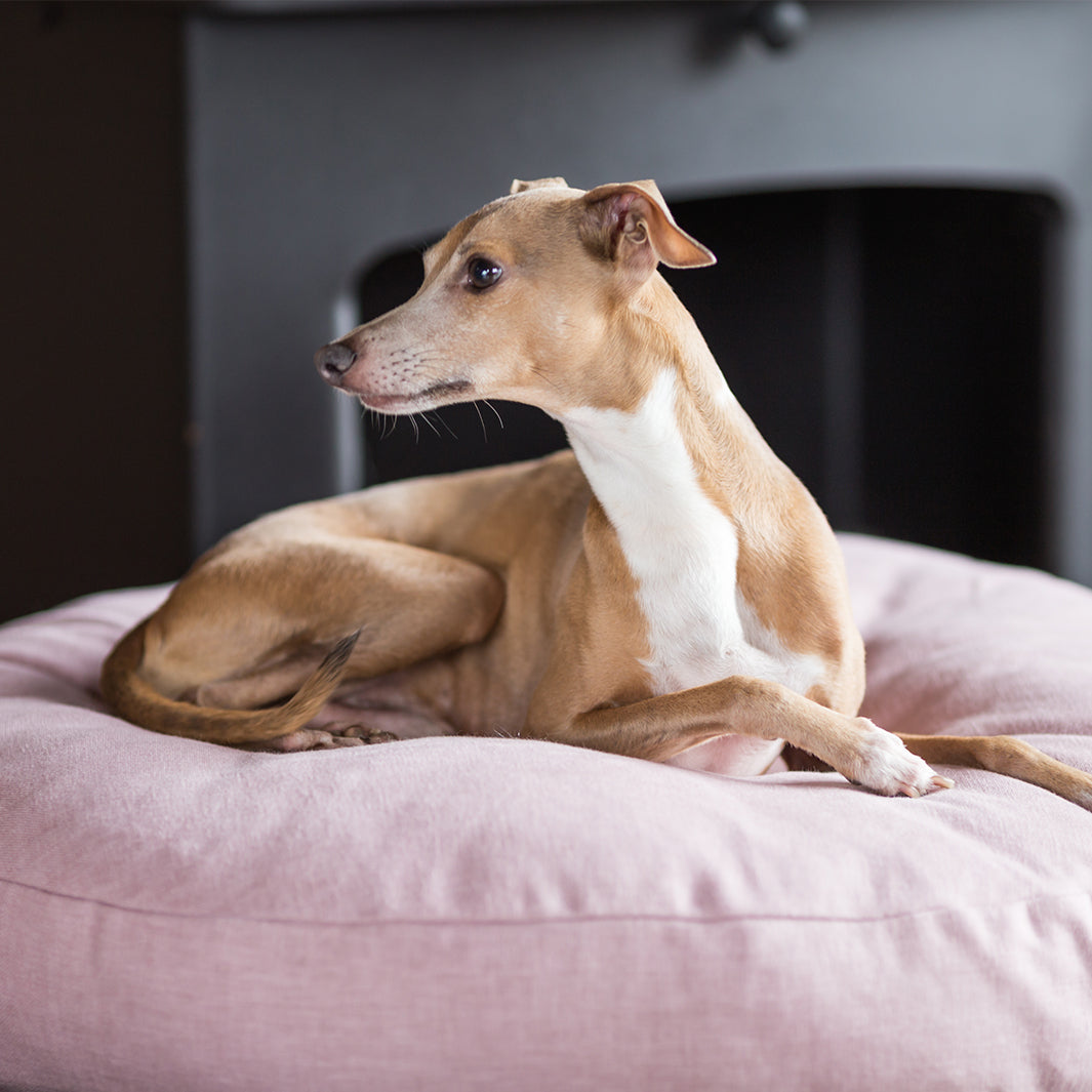Luxury Round Dog Bed Mattress - Charley Chau circular dog bed mattress Day Bed in  upholstery fabric
