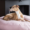 Luxury Round Dog Bed Mattress - Charley Chau circular dog bed mattress Day Bed in  upholstery fabric