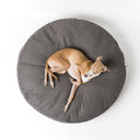 Luxury Round Dog Bed Mattress - Charley Chau circular dog bed mattress Day Bed in dark gray upholstery fabric