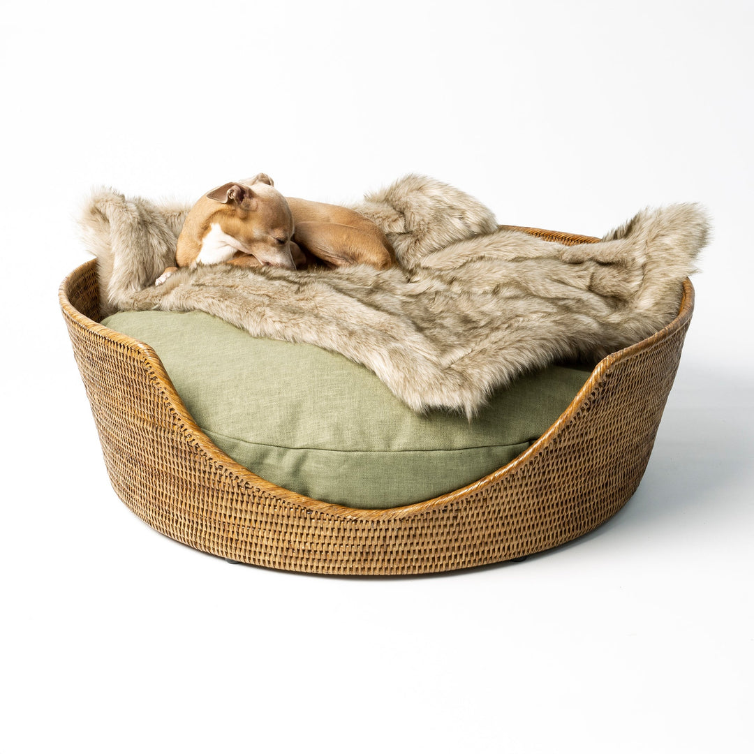 An Italian Greyhound dog lying in a golden tan rattan dog basket with a green dog bed mattress and beige faux-fur blanket.