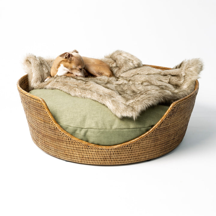 An Italian Greyhound dog lying in a golden tan rattan dog basket with a green dog bed mattress and beige faux-fur blanket.