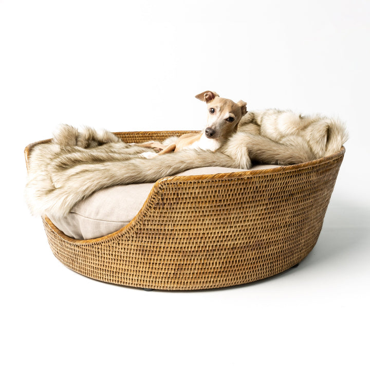 A tan colour round Rattan Dog Basket on a white background with a beige mattress and faux-fur dog blanket inside the dog basket and a fawn Italian Greyhound dog lying on top.