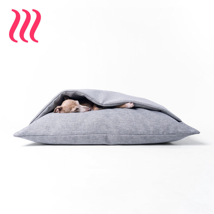 Italian Greyhound dog sleeping in a sleeping bag style luxury dog snuggle bed in a heron grey colour on a white background.