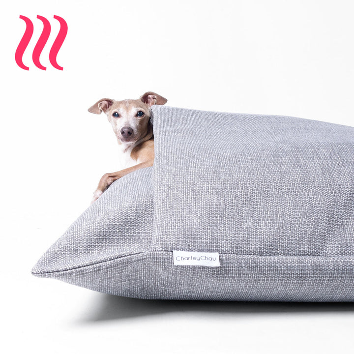 Italian Greyhound dog peeking out of a a sleeping bag style luxury dog snuggle bed in a heron grey colour on a white background.