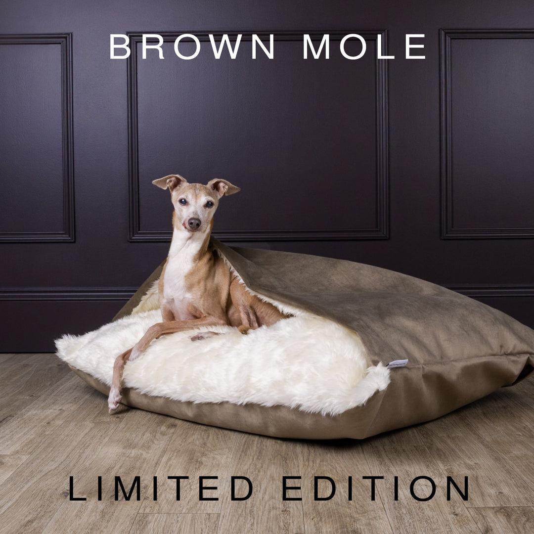 Dog Snuggle Bed in Velour