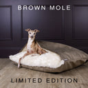 A luxury sleeping bag style dog bed made with a velour in mid-brown and lined with a cream faux-fur fleece lining with the an Italian Greyhound dog sitting inside it and placed on an oak floor in front of a dark brown wall with panelling.