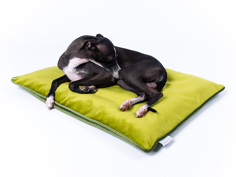 Dog Travel Pad in Velour Contrast